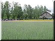 04-04-01-15 What a harmonic yard in Tomita Farm.jpg