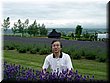 04-04-03-09 How about Papa's pose in Flowerland.jpg