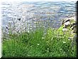 05-02-021 A Lake shore scene of Shikaribetsu Lake.JPG