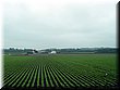 05-03-03 An Obihiro Countryside scene.JPG