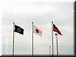 05-05-19 How clever Japanese are to hang flags to welcome visitors from various countries.JPG