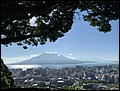 Japan 2024---04-01-01_A pretty scene of Sakurajima at the backgound of Kagoshima City.jpg