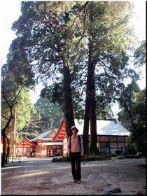 03-03E-01_In the garden of the temple with huge trees.JPG