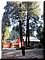 03-03E-01_In the garden of the temple with huge trees.JPG