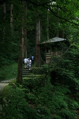 04-03-07 Okunohosomichi traced by Poet Matsuo Basho - deep in the forest