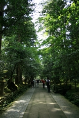 04-06-07 What a pleasant atmosphere in Natadera Temple
