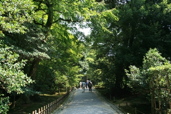 05-05-06 Easy time in Kenroku-en Garden