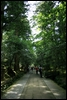 04-06-07 What a pleasant atmosphere in Natadera Temple.jpg