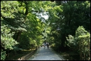 05-05-06 Easy time in Kenroku-en Garden.jpg