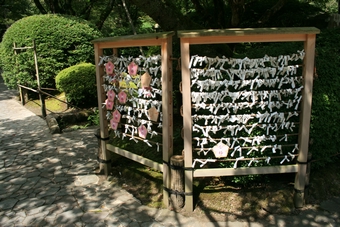 04-06-10 Wish papers for passing exams seen in Natadera Temple