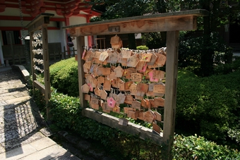 04-06-11 Wish cards for passing exams seen in Natadera Temple