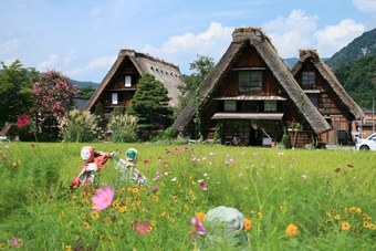 05-08-01 Gassho-zukuri House in Shiragawa-go