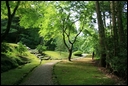 04-03-01 A  scene along Okunohosomichi ('narrow road to the deep west') traced by Poet Matsuo Basho.jpg