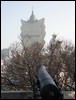 Day 3--- 11-02 (WH-08) Mount Fortress - pointing to Grand Lisbon Hotel.jpg