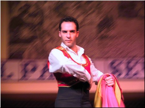 24---2_9_Seville -Flamenco --- 10 Shows in progress I.jpg