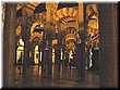17-2_9_Cordoba Mosque-07 There are nearly 900 poles in the church.jpg