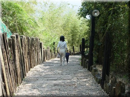 05 A spot along a bamboo path.jpg