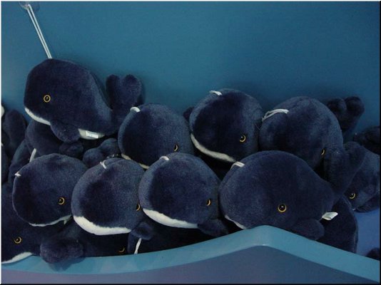 03-03-03 Many dolls of a blue whale for sale.jpg