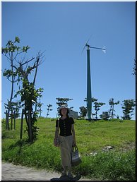 07 Cijin Wind Mills.jpg