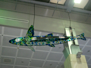 Makung Airport --- an exhibited glass work