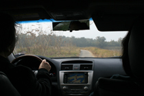 Driving in little path ways among fish ponds