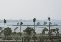 Driving around Dapeng Bay shore