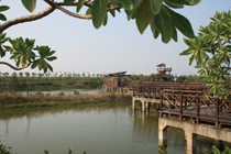 Chifeng Wetland at Dapeng Bay