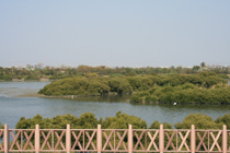 Salt-water River wetland seen at Anping Tree House