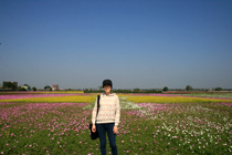 Flower fields seen in Yunlin
