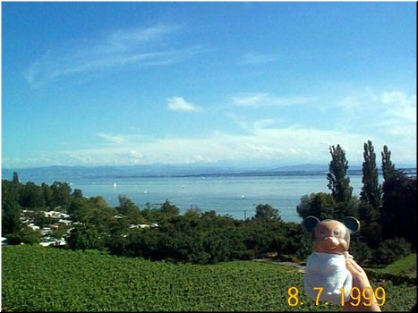 08-07 03 Mickey was at Lake Bodensee in Germany.jpg