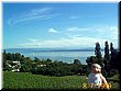 08-07 03 Mickey was at Lake Bodensee in Germany.jpg