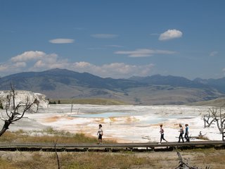 03-05-3 Mammoth Hot Springs --- Canary Spring scene 1