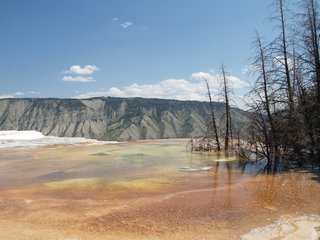 03-05-5 Mammoth Hot Springs --- Canary Spring scene 3