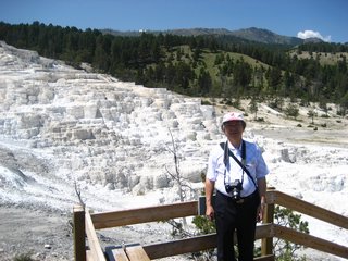 03-05-8 Mammoth Hot Springs --- Minerva Terrace