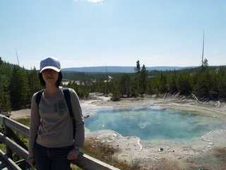 03-06-1 Norris Geyser Basin --- Emerald Spring