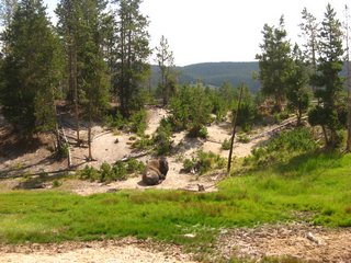 04-06-2 Mud Volcano area --- a lonely bison