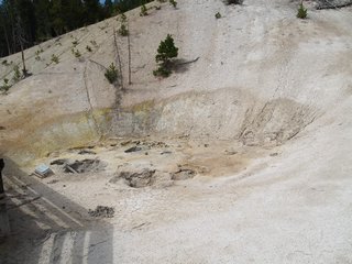 04-06-5 Mud Volcano area --- Grizzly Fumarole