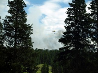 04-07-1 We encountered a forest fire fighting action