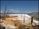 03-05-4 Mammoth Hot Springs --- Canary Spring scene 2.jpg