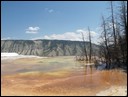 03-05-5 Mammoth Hot Springs --- Canary Spring scene 3.jpg