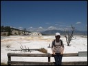 03-05-6 Mammoth Hot Springs --- A shot at Canary Spring.jpg