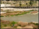 04-06-1 Mud Volcano area --- colorful grass around a pond.jpg