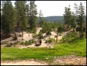 04-06-2 Mud Volcano area --- a lonely bison.jpg