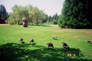 Canada 1993 --- Vancouver (Day 14) - Vandusen Botanical Garden - 03 A wide green yard full of gooses.jpg