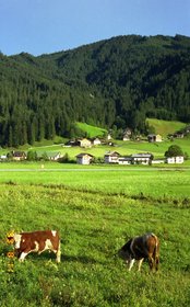 Austria 1999---08-10C 15 Scenic view of Gosau.jpg