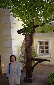 Austria 1999---08-15C 13 Mamma in front of the tree.jpg