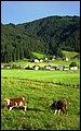 Austria 1999---08-10C 15 Scenic view of Gosau.jpg