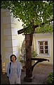 Austria 1999---08-15C 13 Mamma in front of the tree.jpg