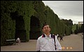 Austria 1999---08-16B 08 Trimmed trees with good shapes.jpg