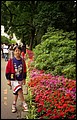 Czech 1999---09-01 19 At a flowery street side.jpg